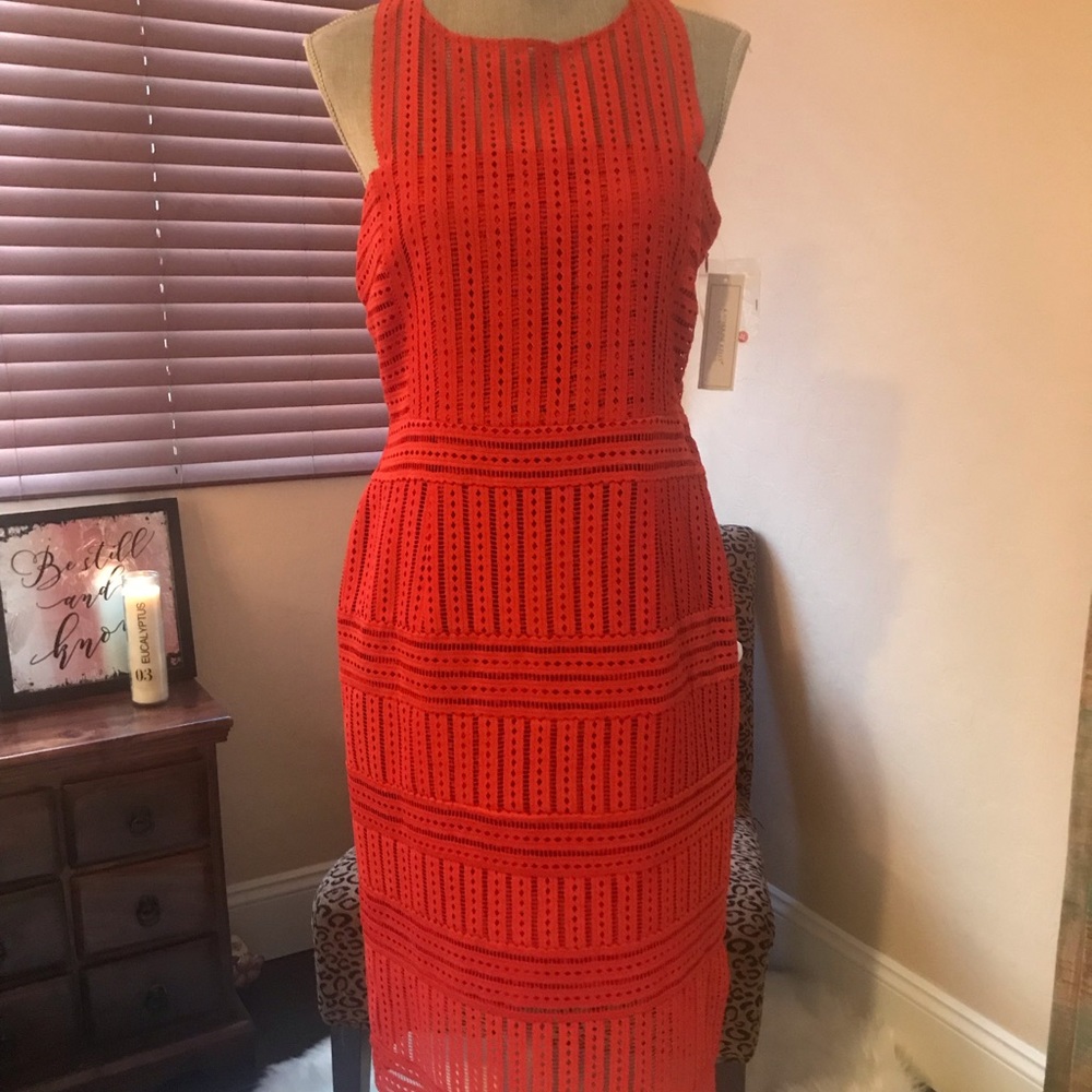NWT Kathrine Kelly lace dress
